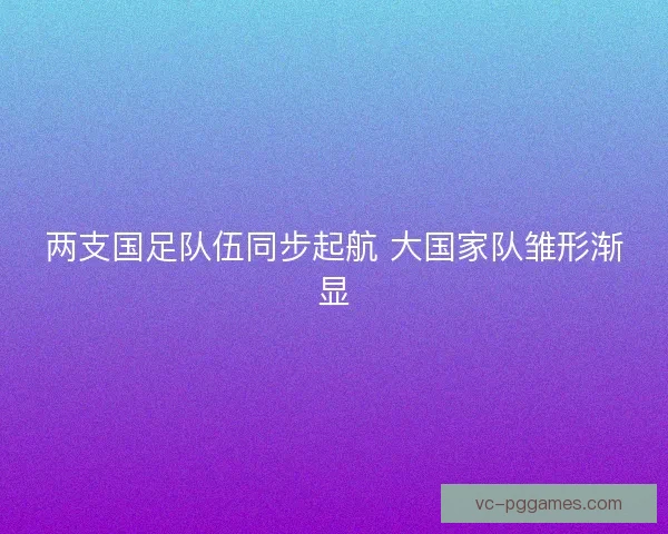 两支国足队伍同步起航 大国家队雏形渐显
